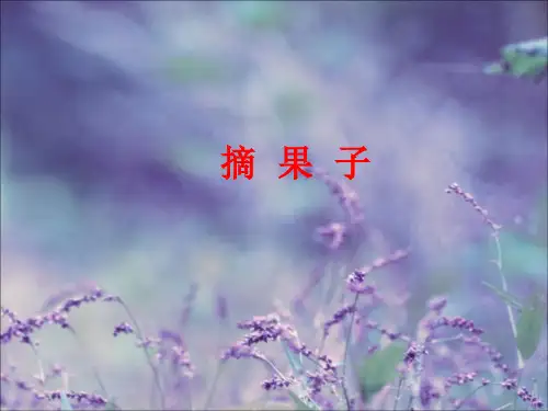 《摘果子》1精品PPT课件