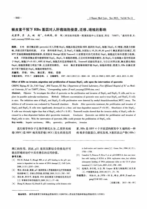 槲皮素干预下HBx基因对人肝癌细胞侵袭、迁移、增殖的影响