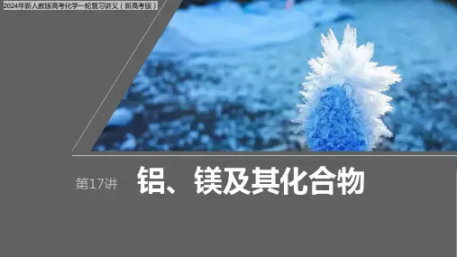 2024年新人教版高考化学一轮复习讲义(新高考版)  第4章 第17讲 铝、镁及其化合物
