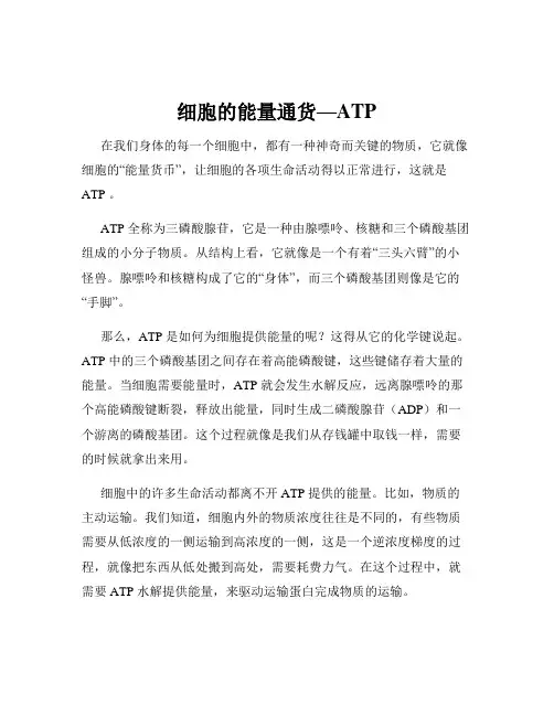 细胞的能量通货—ATP
