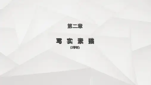 《写实素描》PPT课件 (2)
