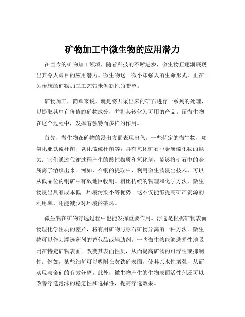 矿物加工中微生物的应用潜力