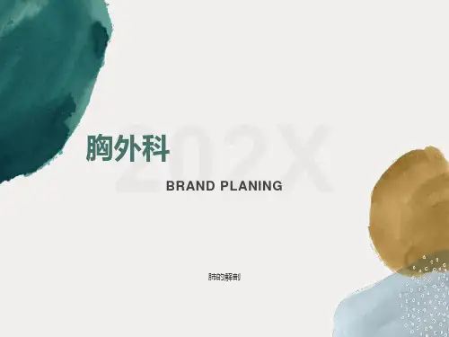 肺的解剖及分段课件