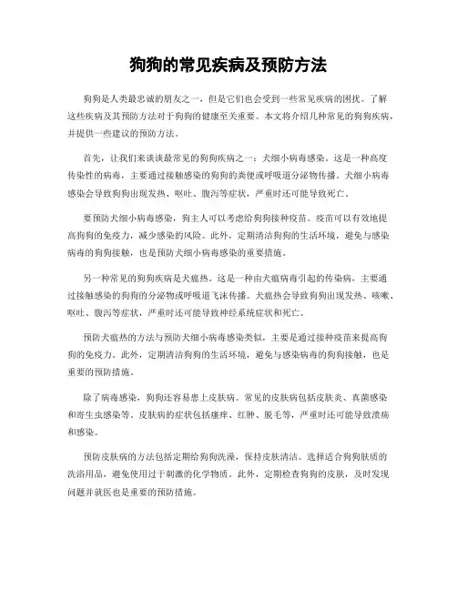狗狗的常见疾病及预防方法