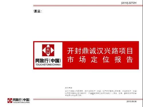 100810开封鼎诚项目定位报告终稿