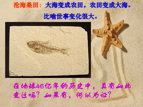 化石吟(1)PPT课件