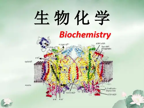 生物化学的发展简史.