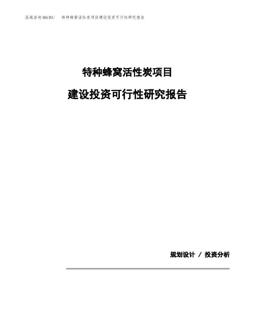特种蜂窝活性炭项目建设投资可行性研究报告范文参考