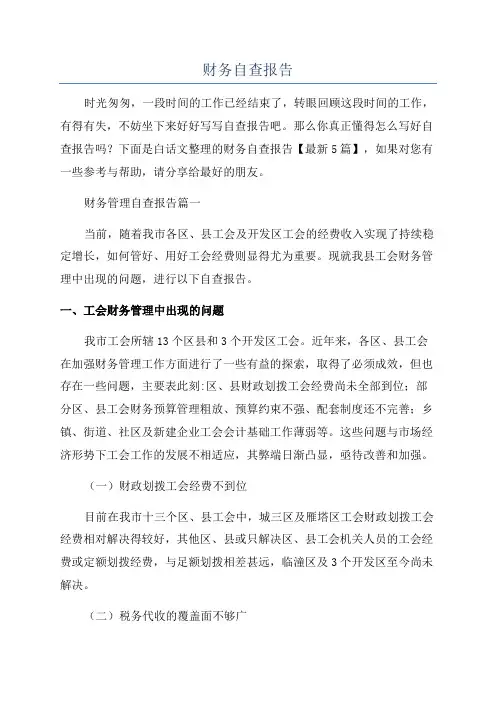 财务自查报告