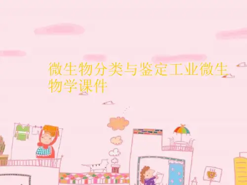 微生物分类与鉴定工业微生物学课件