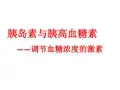 高中生物《胰岛素与胰高血糖素—调节血糖浓度的激素》课件ppt