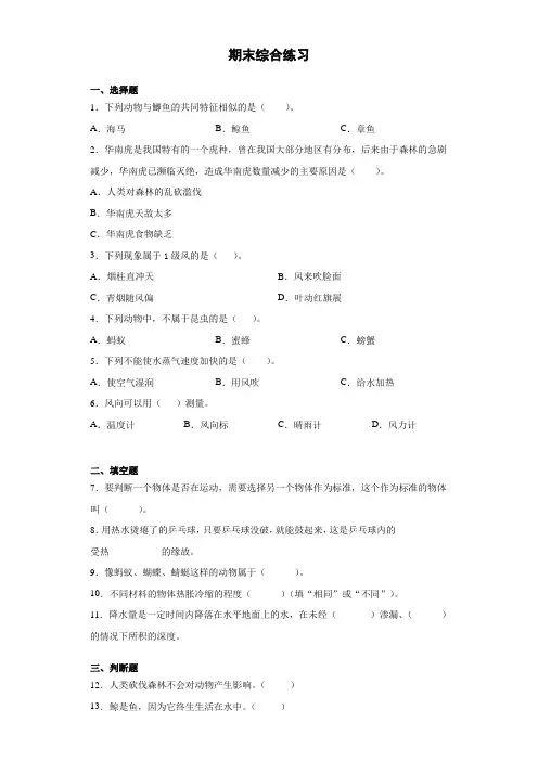 期末综合练习(试题)科学四年级上册
