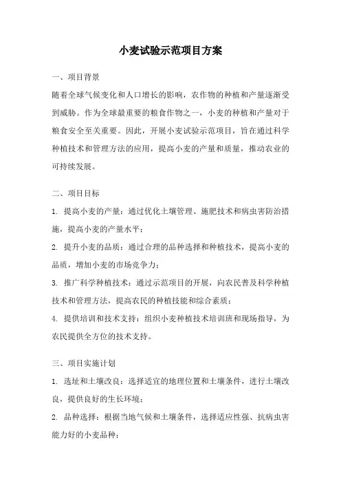小麦试验示范项目方案