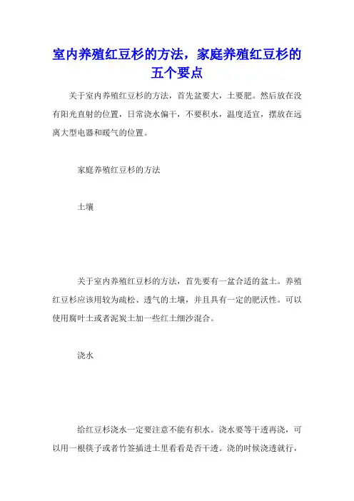 室内养殖红豆杉的方法,家庭养殖红豆杉的五个要点