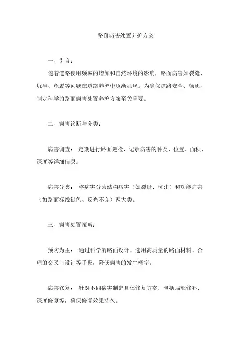 路面病害处置养护方案