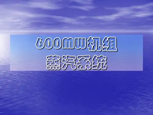 600MW机组蒸汽系统