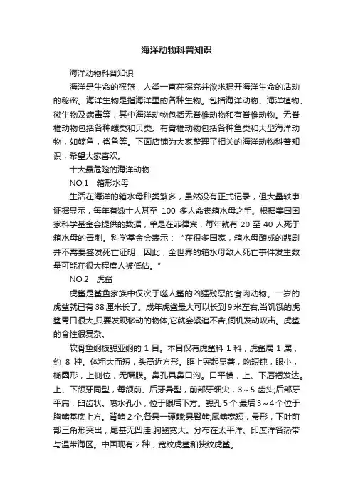 海洋动物科普知识