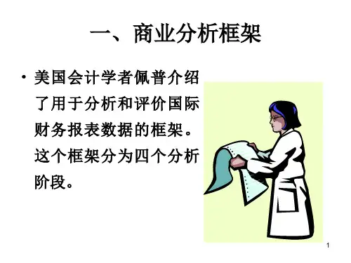 国际财务报表分析