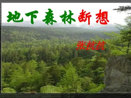 地下森林断想PPT31 人教版 (共47张PPT)