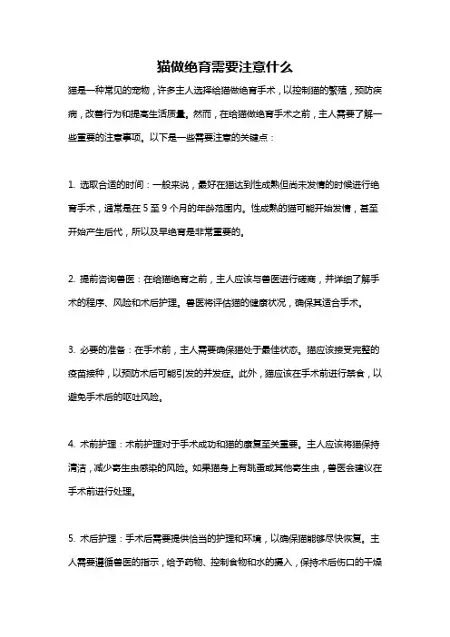 猫做绝育需要注意什么
