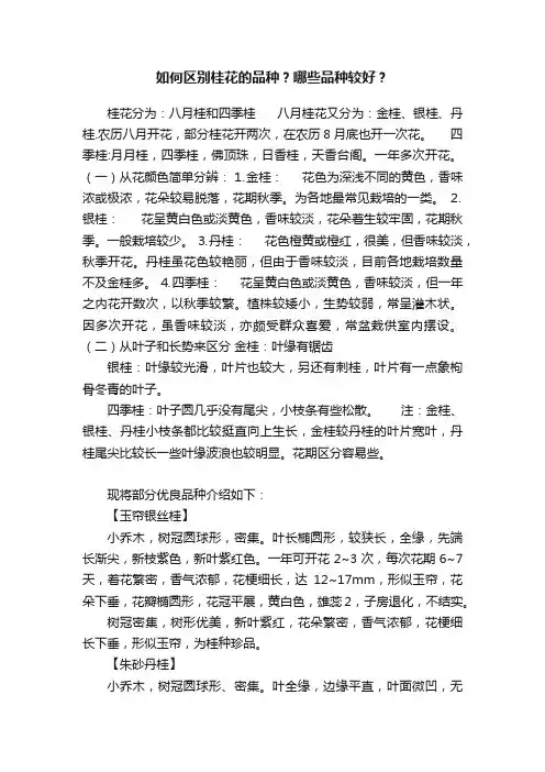 如何区别桂花的品种？哪些品种较好？