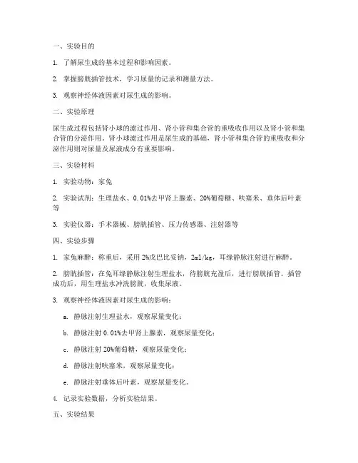 尿生成实验报告