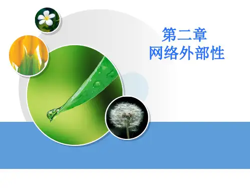 网络经济学ppt 第二章 网络外部性