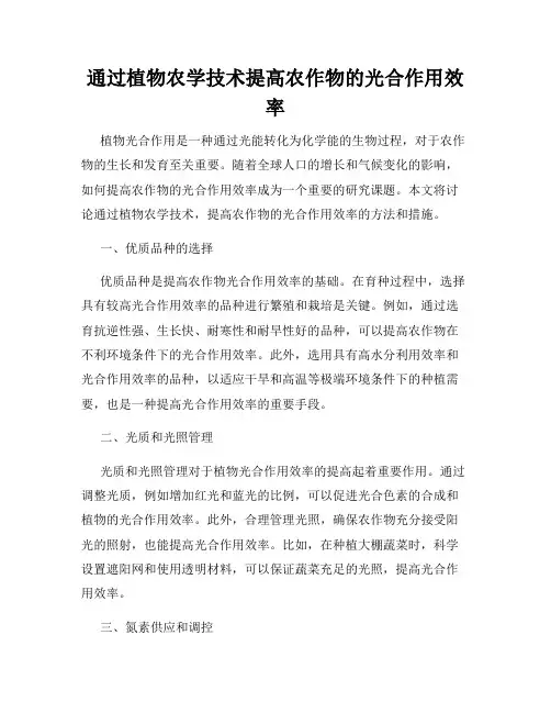 通过植物农学技术提高农作物的光合作用效率