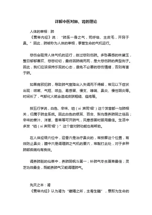 详解中医对肺、肾的理论