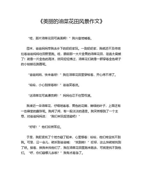 《美丽的油菜花田风景作文》