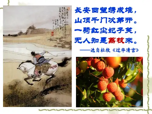 3.1农业的区位选择(公开课) 28张ppt