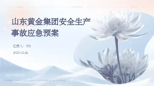 山东黄金集团安全生产事故应急预案