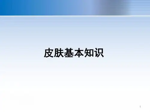 皮肤基本知识ppt课件