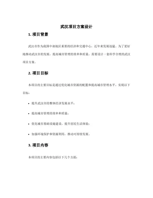 武汉项目方案设计