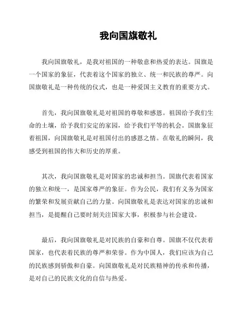 我向国旗敬礼