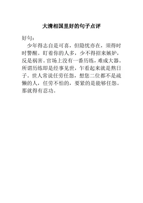大清相国里好的句子点评