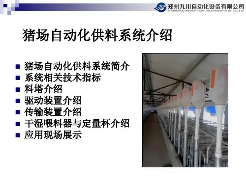 自动化供料系统17页PPT文档