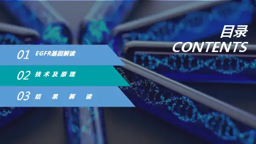 EGFR基因技术培训