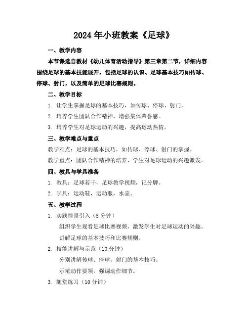 2024年小班教案《足球》