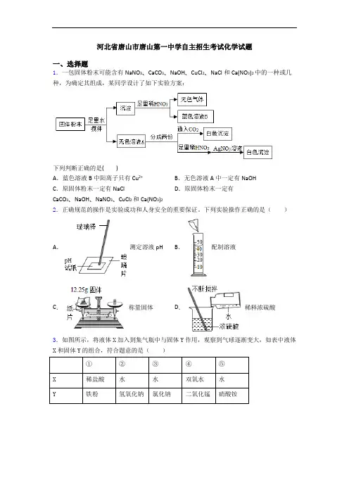 河北省唐山市唐山第一中学自主招生考试化学试题