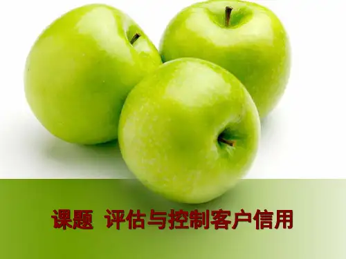 客户关系管理课题-评估与控制客户信用
