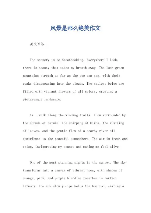 风景是那么绝美作文