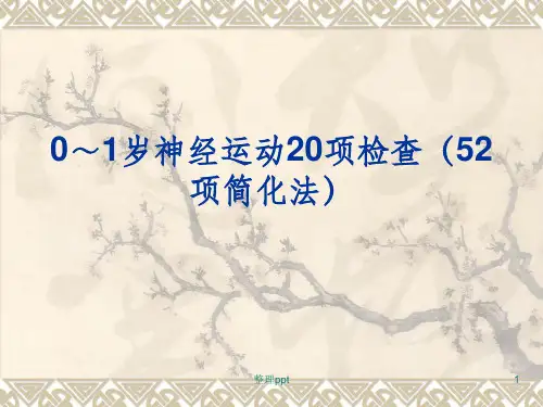 20项神经运动检查