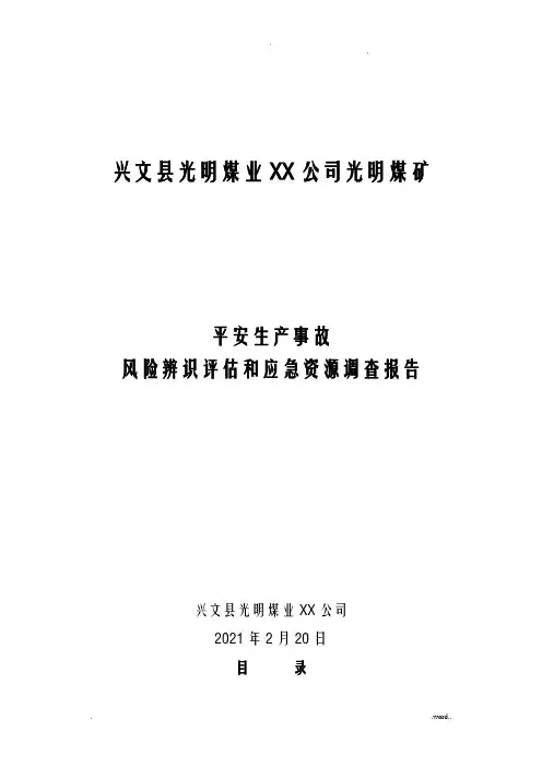煤矿安全生产事故风险辨识评估和应急资源调查报告