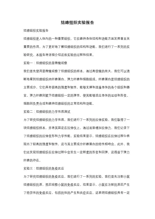 结缔组织实验报告