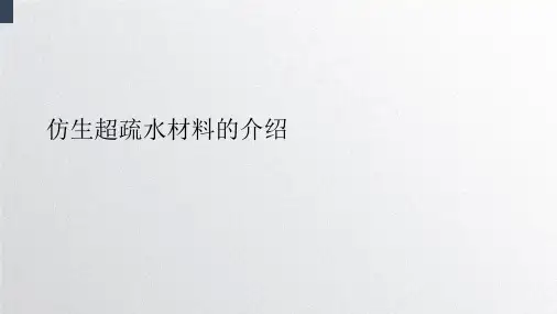 仿生超疏水材料的介绍精选文档