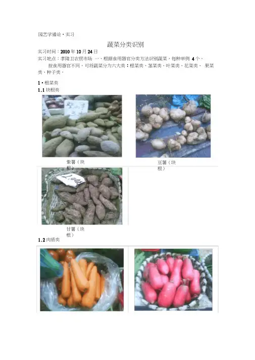 蔬菜分类识别