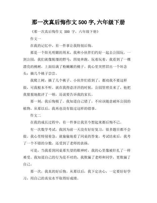 那一次真后悔作文500字,六年级下册