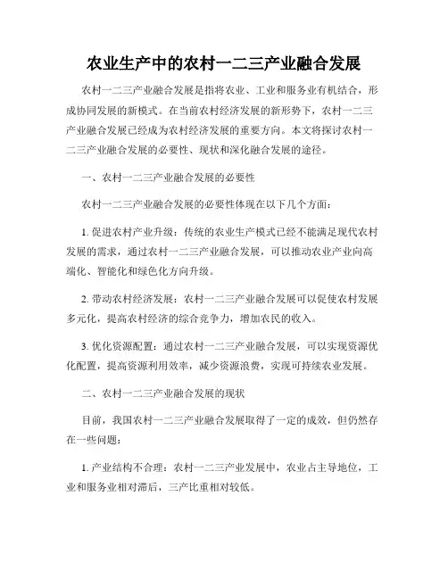 农业生产中的农村一二三产业融合发展