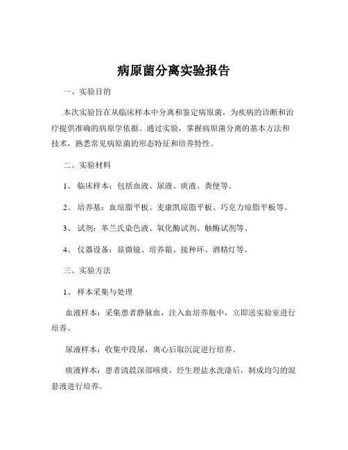 病原菌分离实验报告